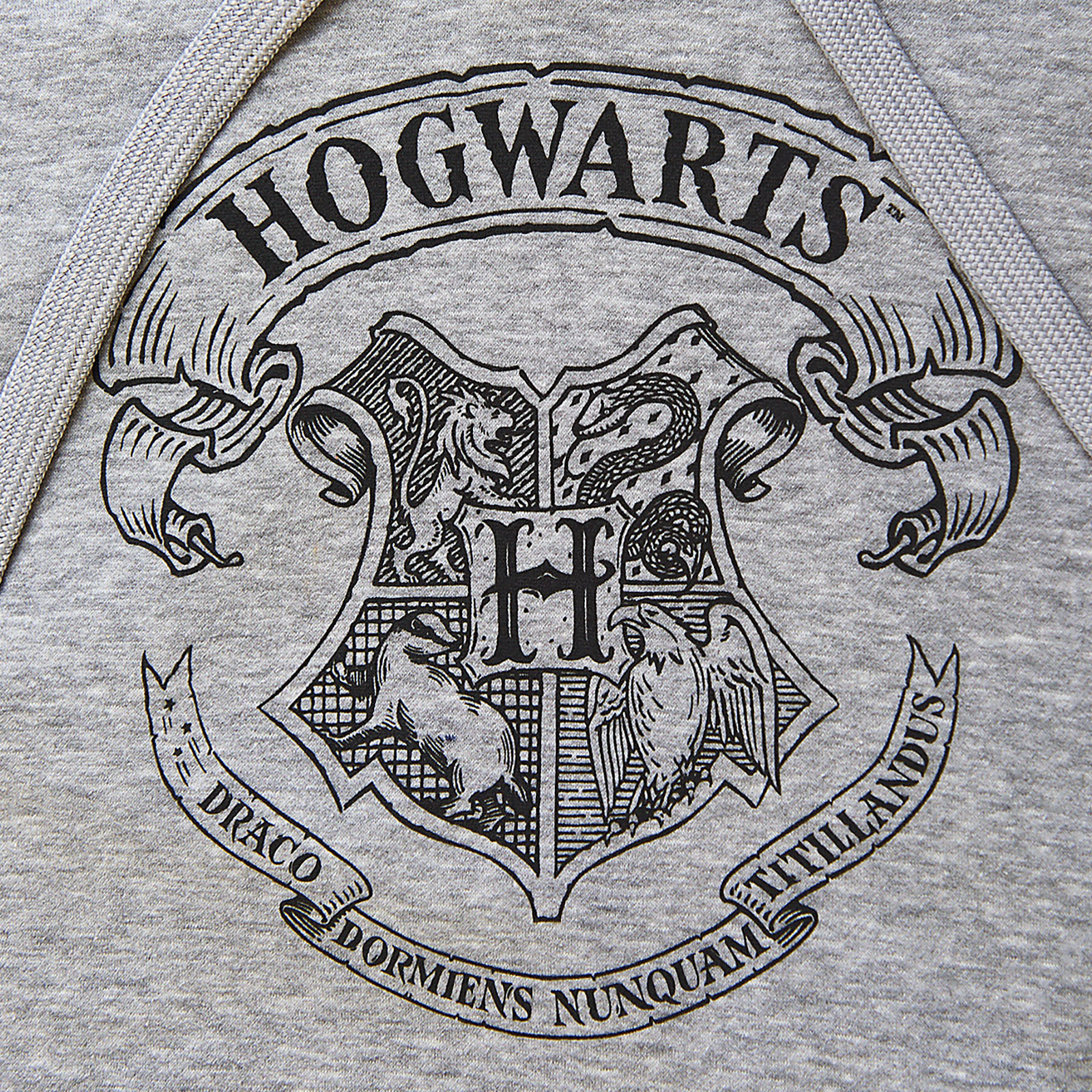 Harry Potter - Hogwarts Wappen Hoodie grau