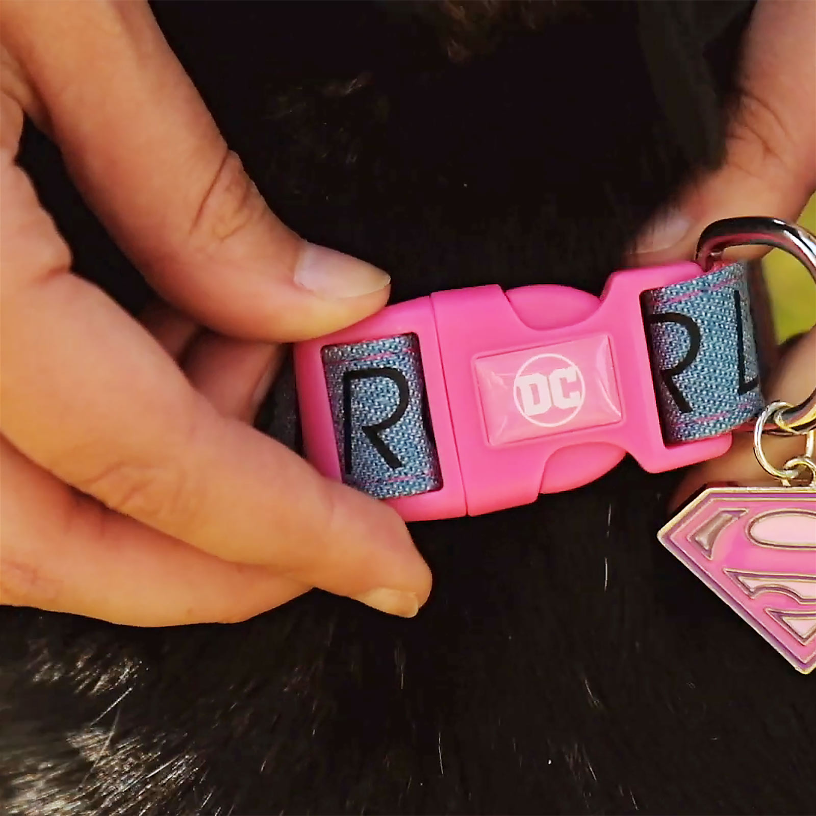 Supergirl Klick-Halsband für Hunde rosa-blau