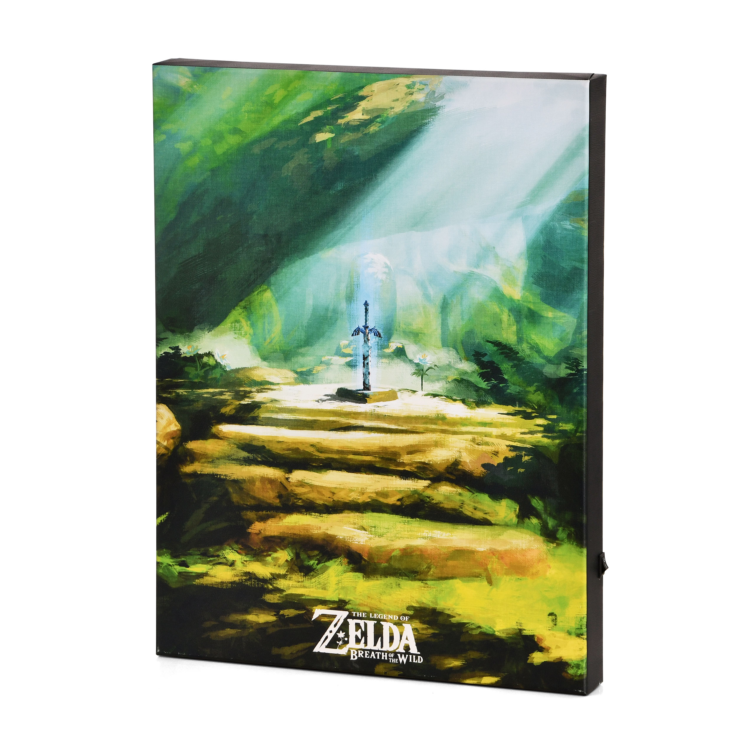 Zelda - Masterschwert Wandbild mit Licht
