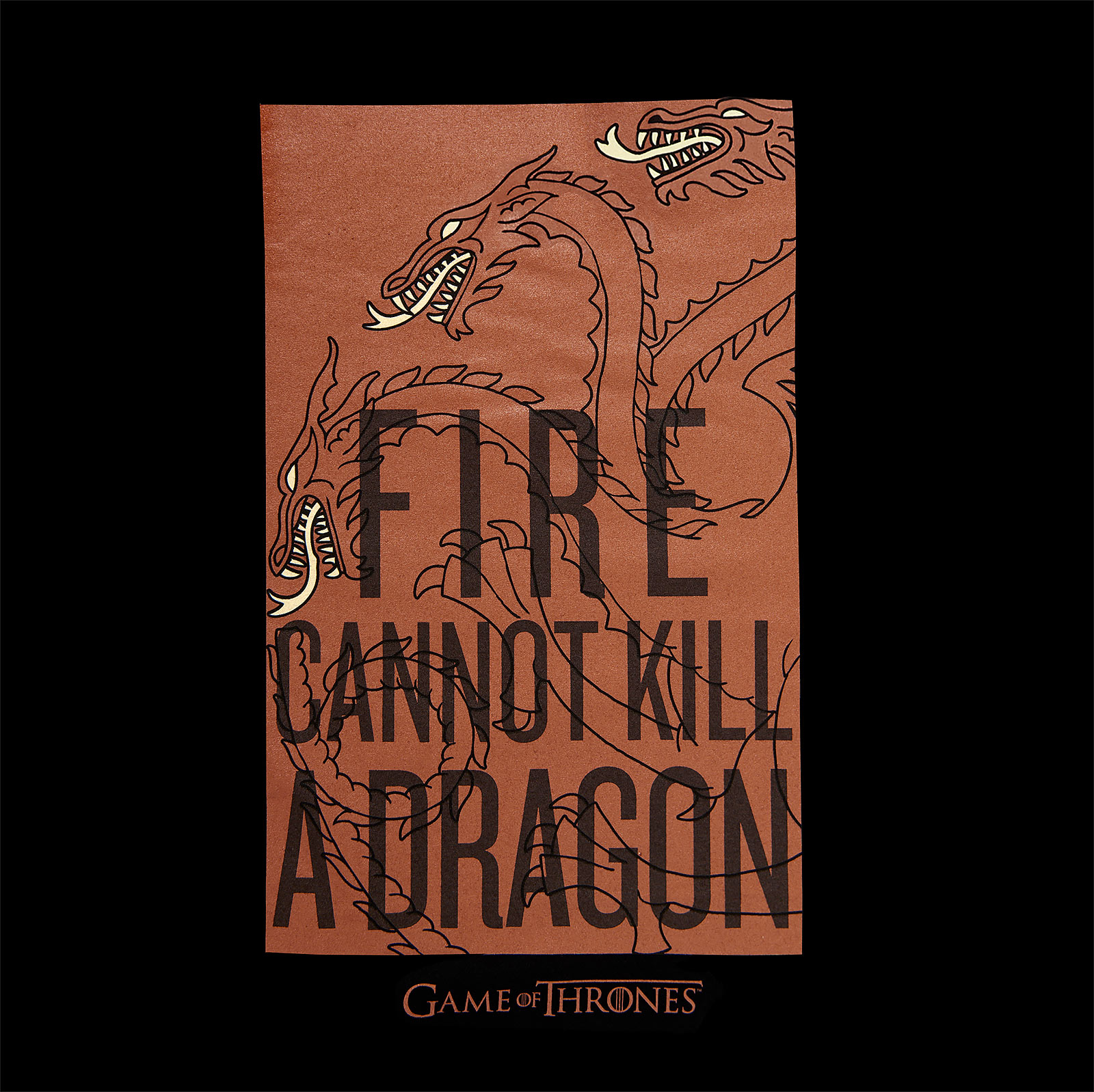 Game of Thrones - Fire Cannot Kill a Dragon Targaryen T-Shirt schwarz