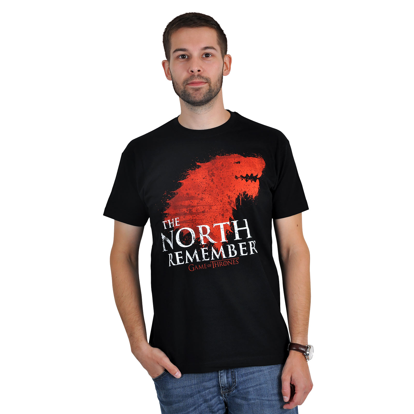 Game of Thrones - The North Remembers T-Shirt