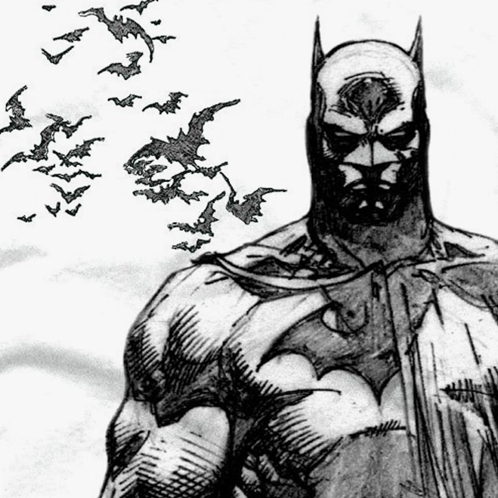 Batman - Bat Fly T-Shirt