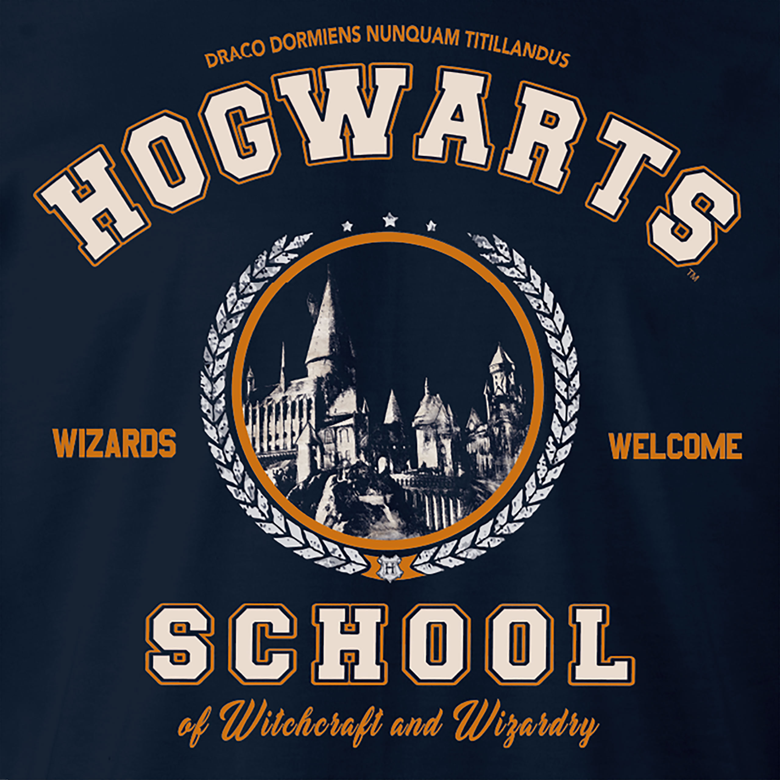 Harry Potter - Hogwarts School Hoodie blau