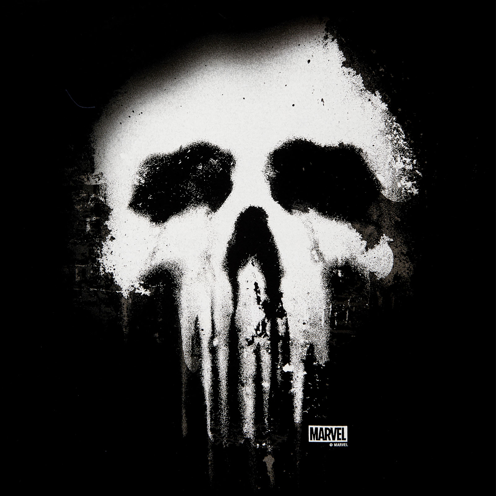 Punisher - Faded Skull Logo T-Shirt schwarz