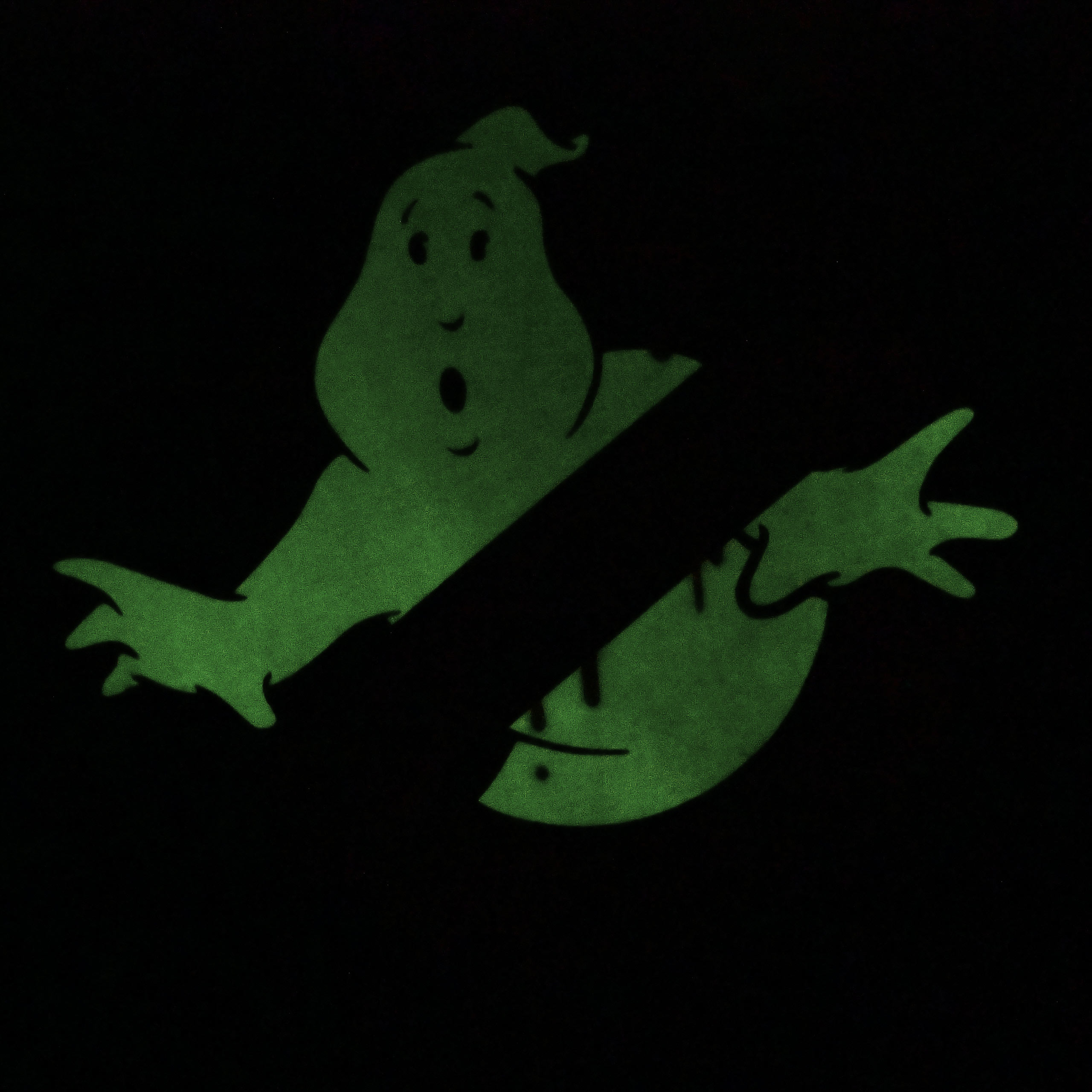 Ghostbusters - Glow in the Dark Logo Hoodie schwarz