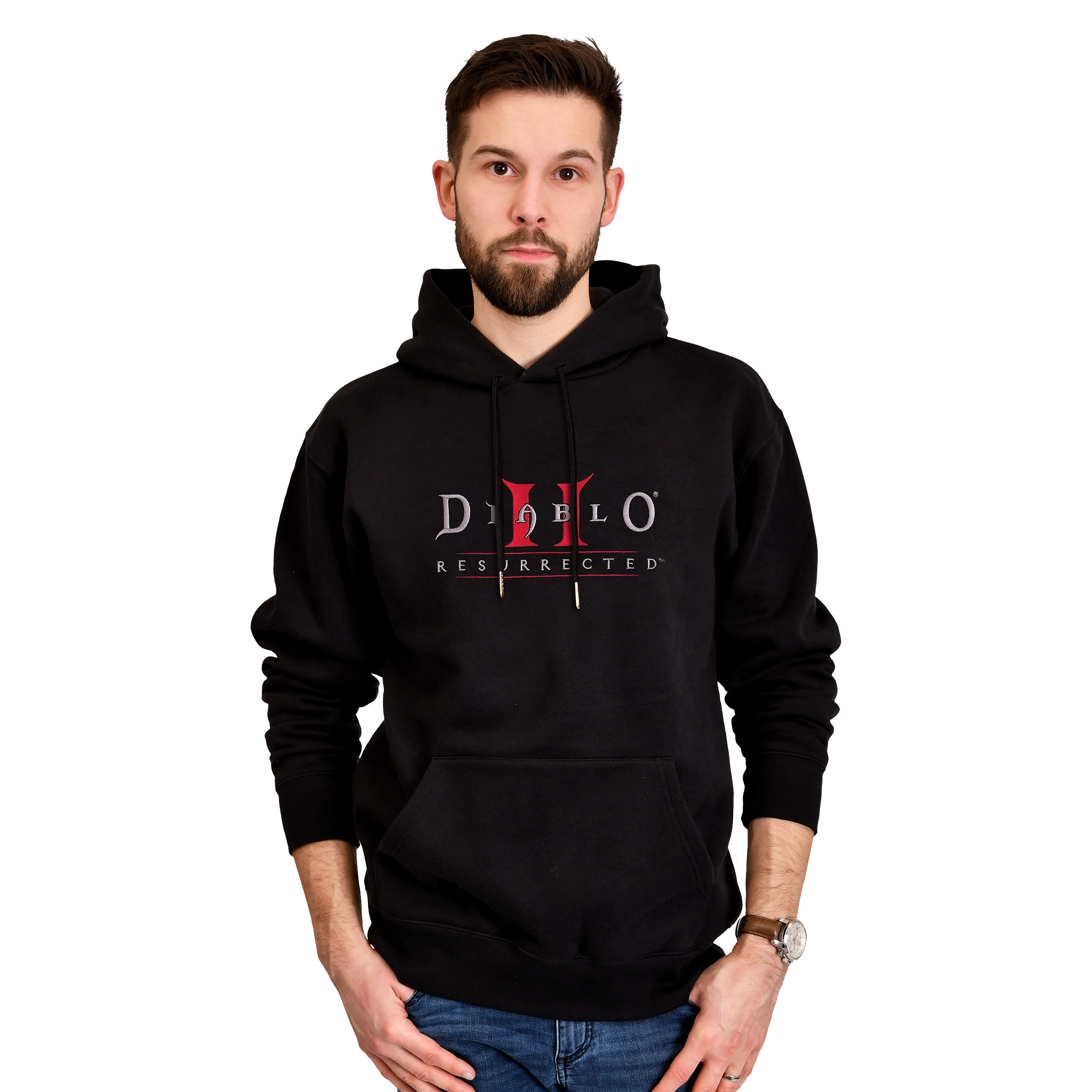 Diablo - Logo Hoodie schwarz