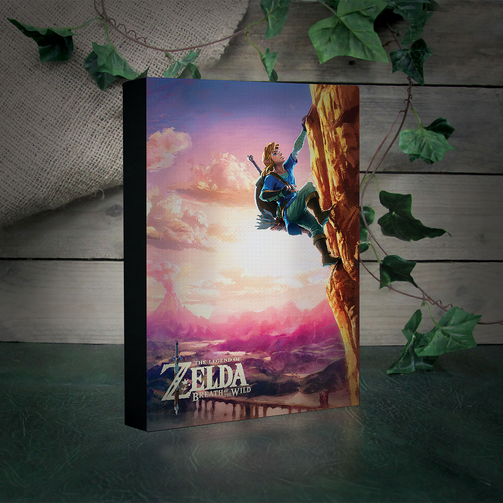 Zelda - Link Wandbild mit Licht
