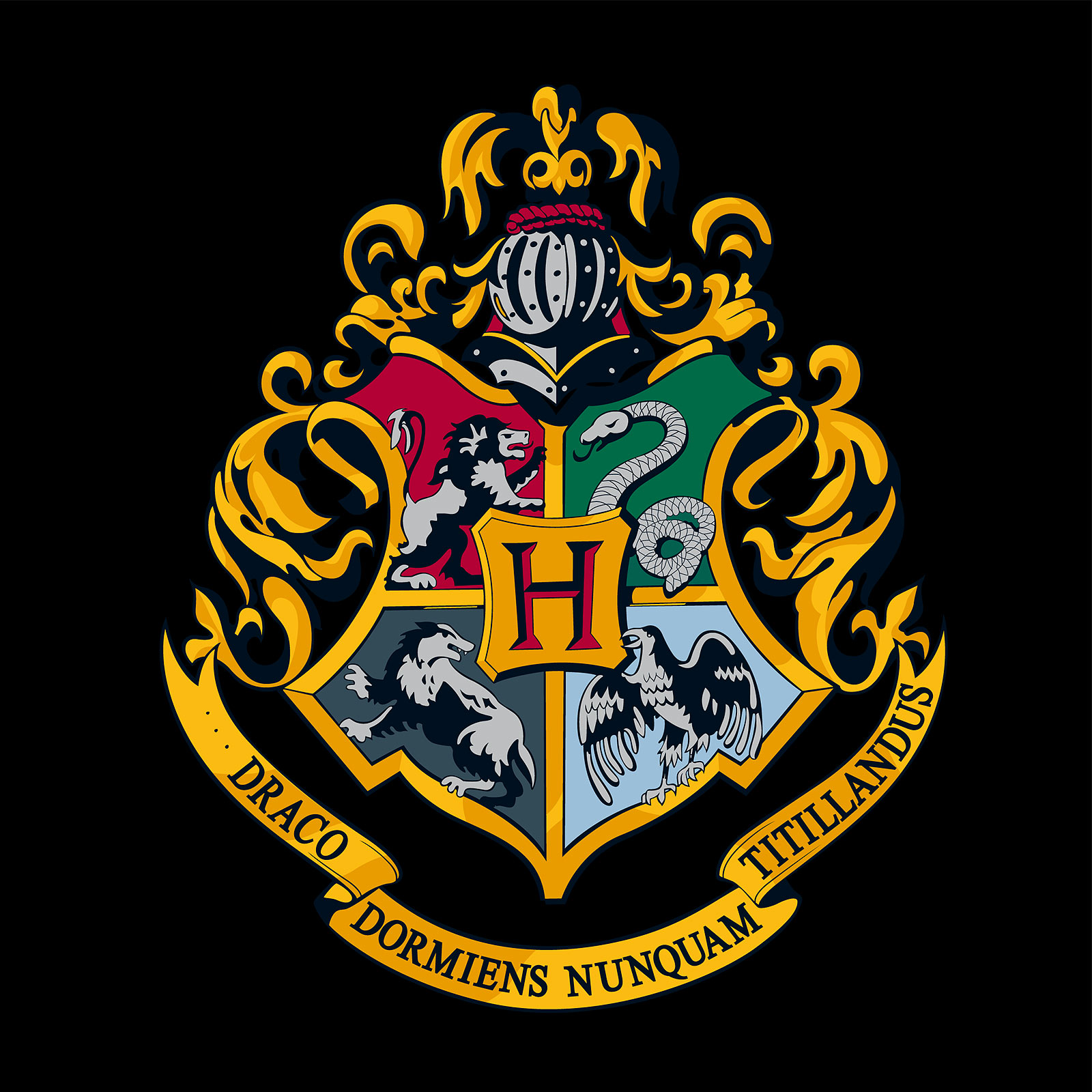 Harry Potter - Hogwarts Hoodie schwarz