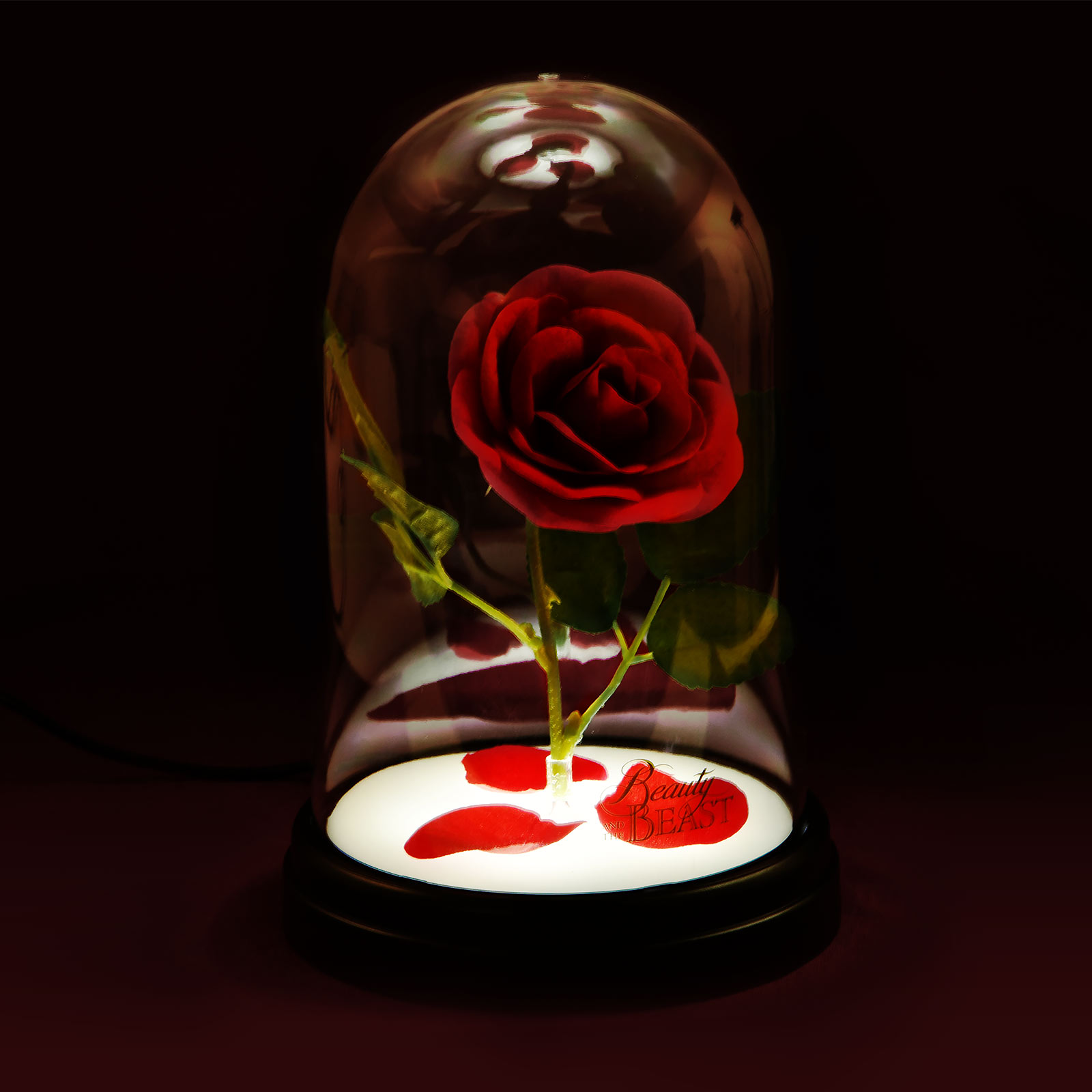 Energieklasse A+++ mehrfarbig Die Schöne und das Biest Enchanted Rose 