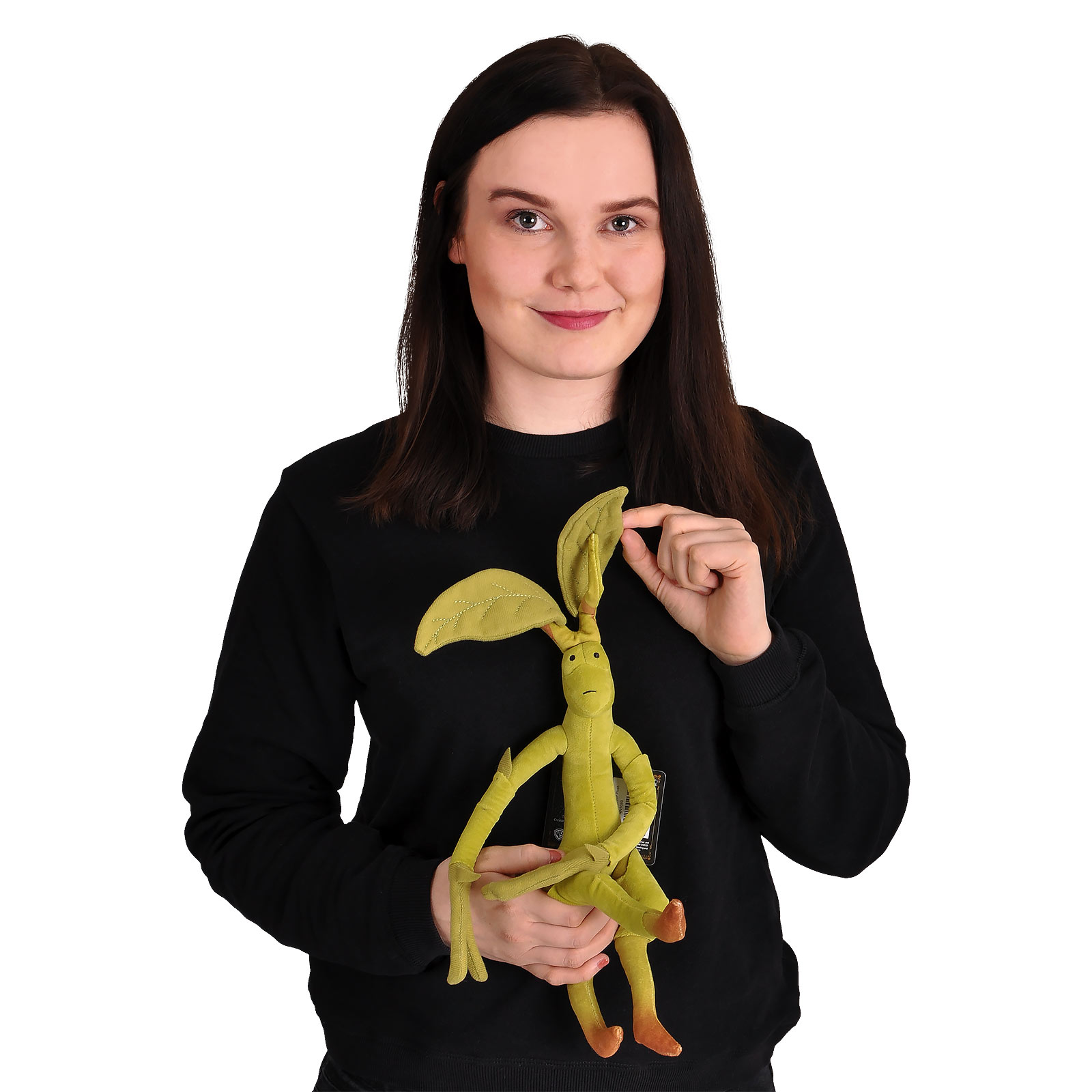 Phantastische Tierwesen - Bowtruckle Plüsch Figur 35 cm
