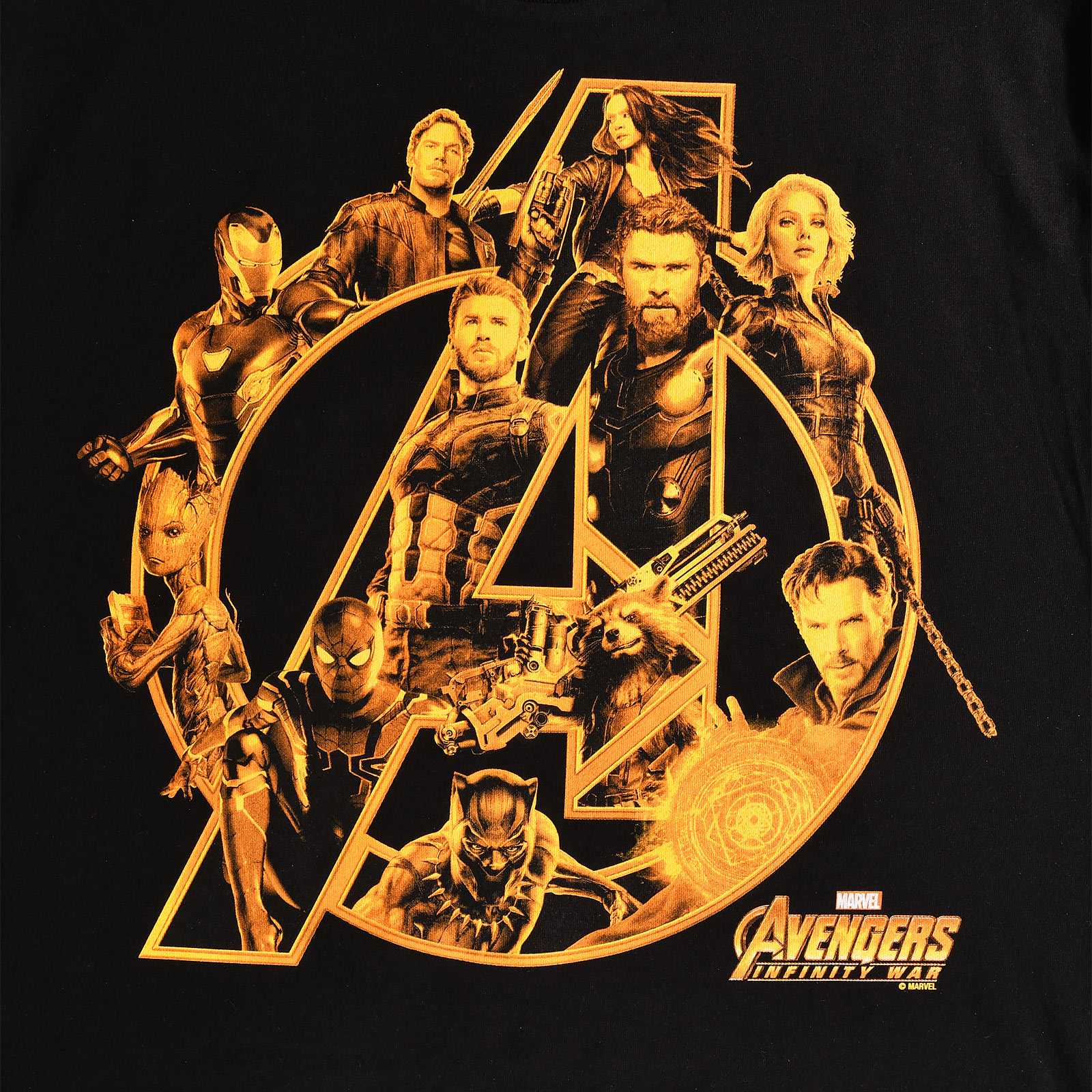 Avengers - Infinity War Heroes T-Shirt