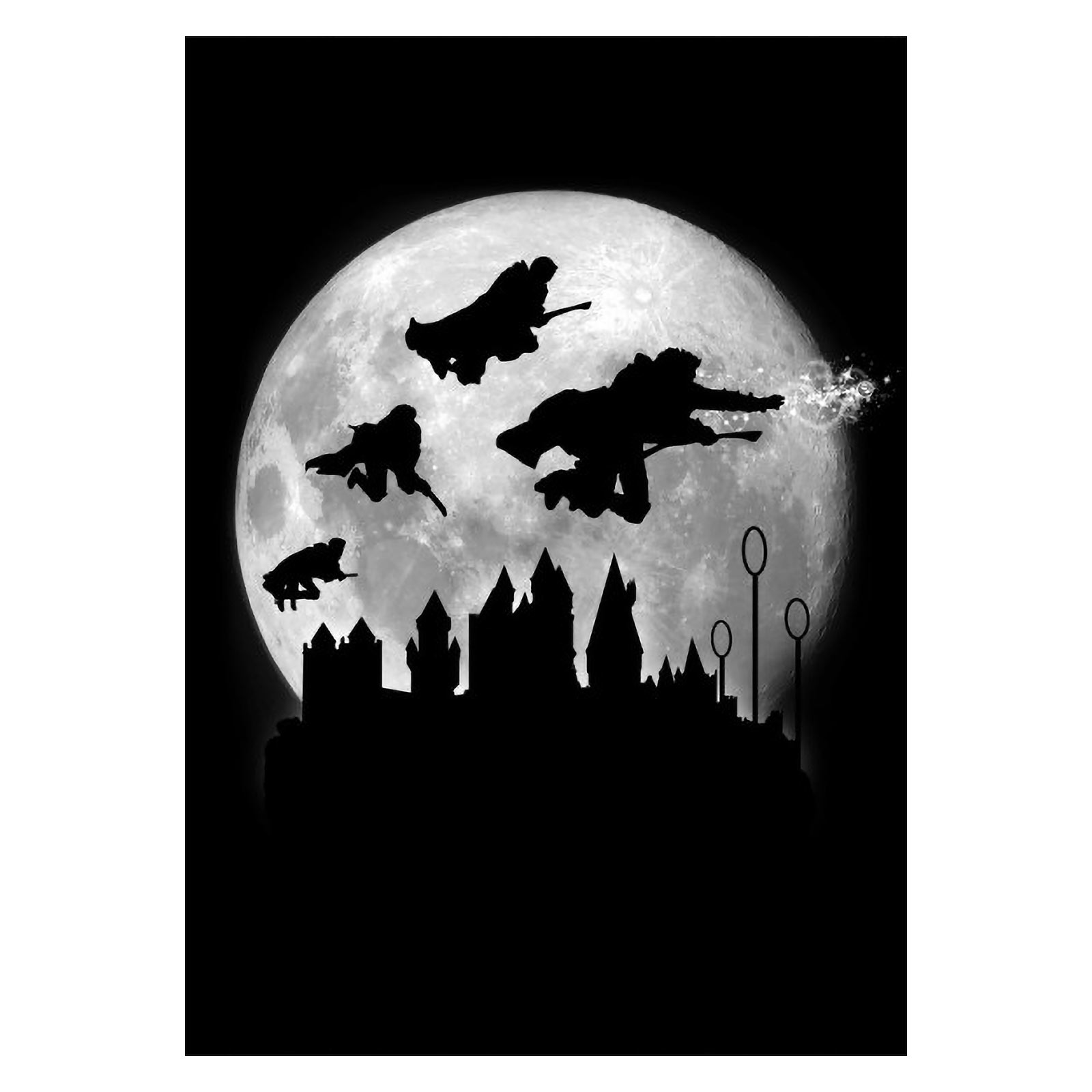 Magic Flight at Night Metall Poster für Harry Potter Fans