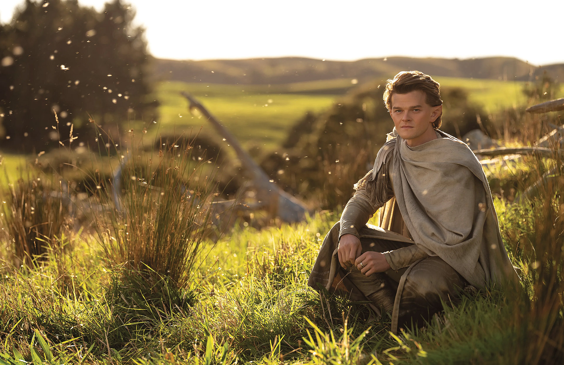Robert Aramayo als Elrond, Bild © Ben Rothstein/Prime Video
