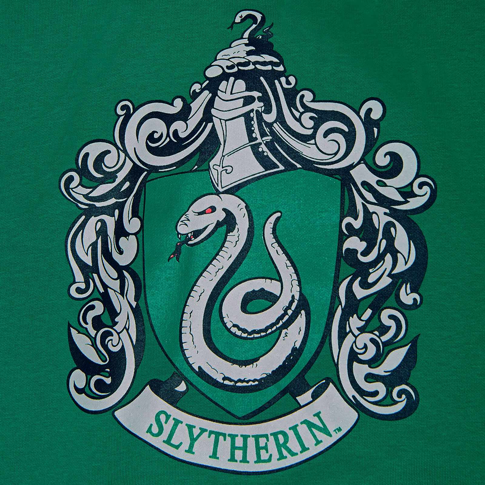 Harry Potter - Slytherin Wappen Hoodie