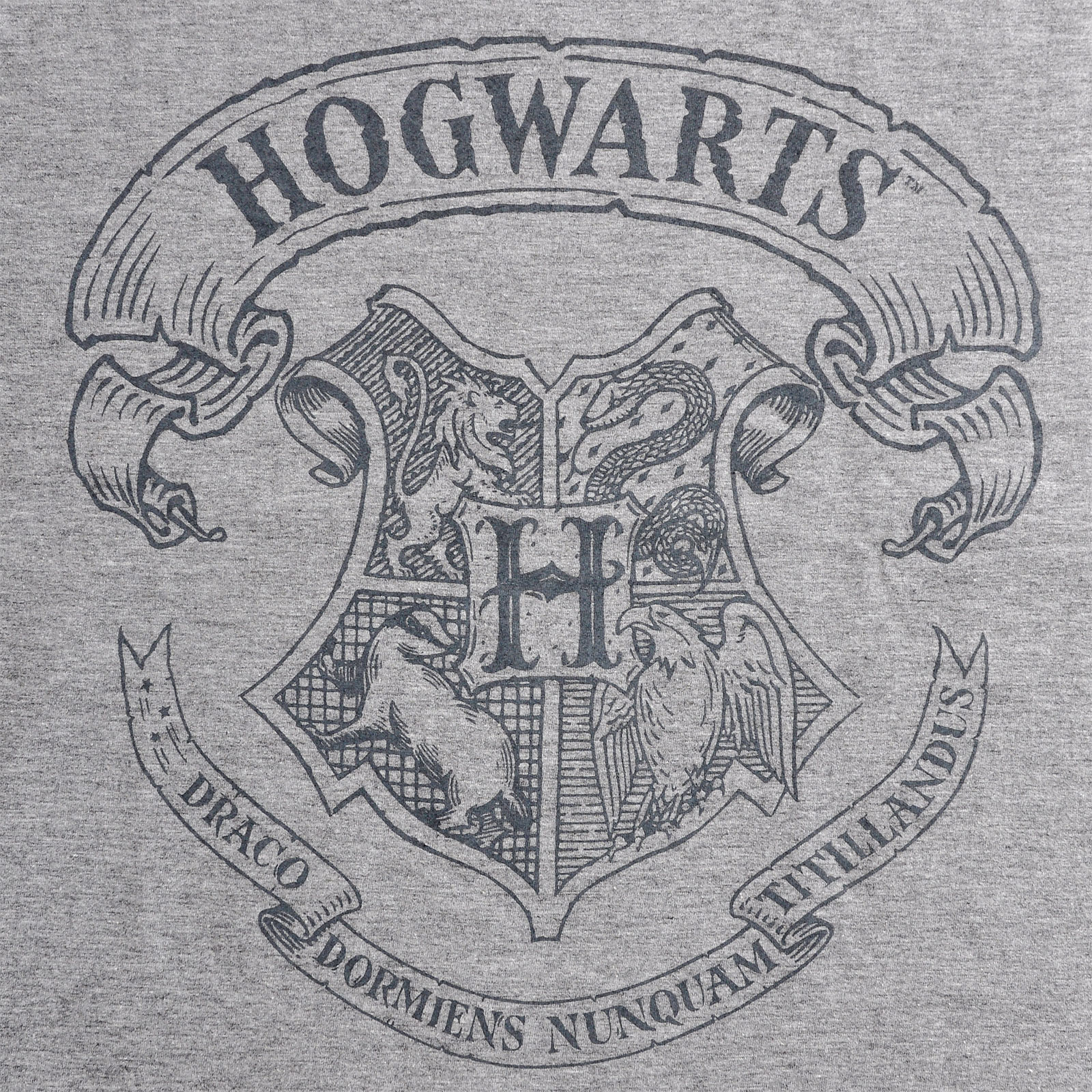 Harry Potter - Logo T-Shirt grau
