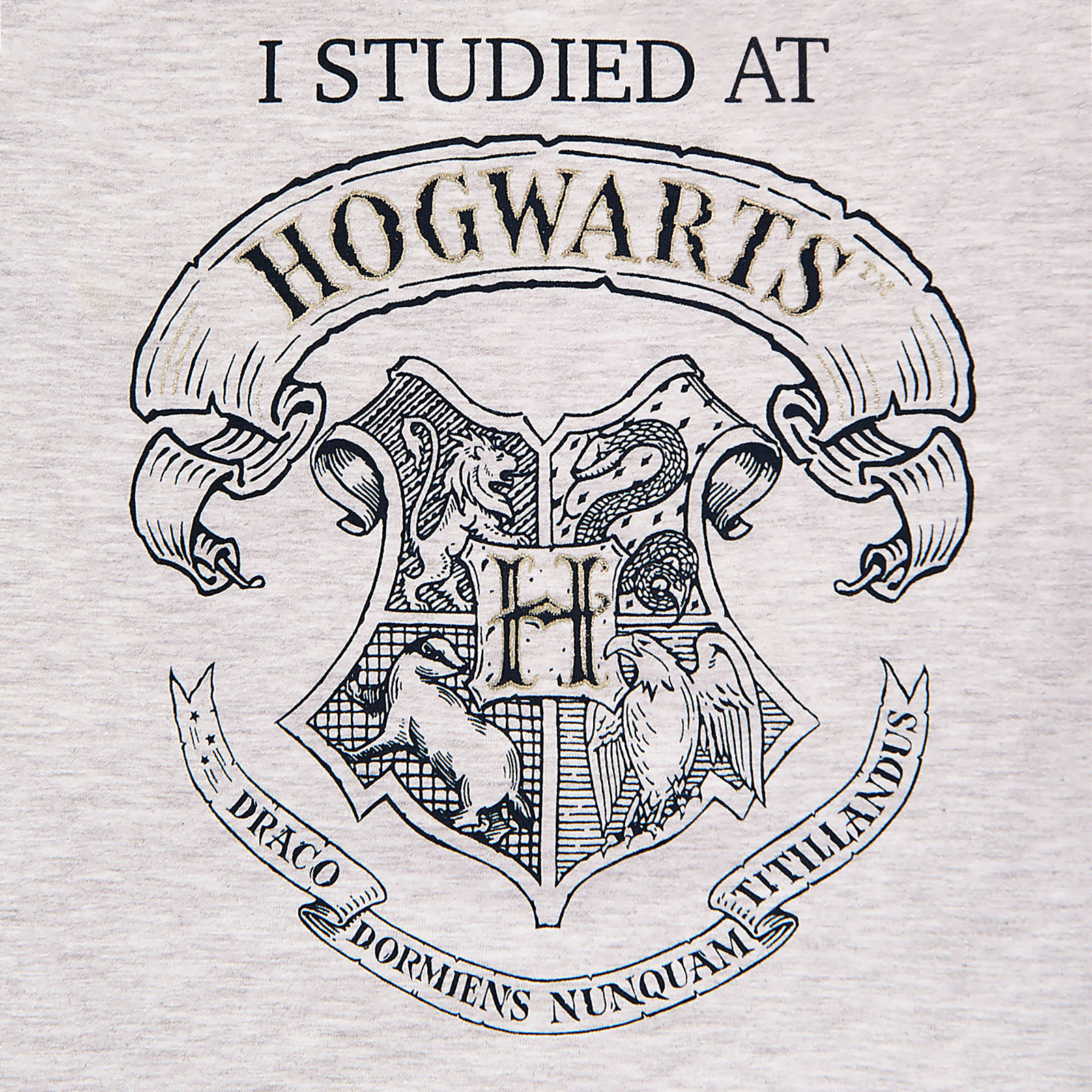 Harry Potter - I Studied at Hogwarts Kinder T-Shirt