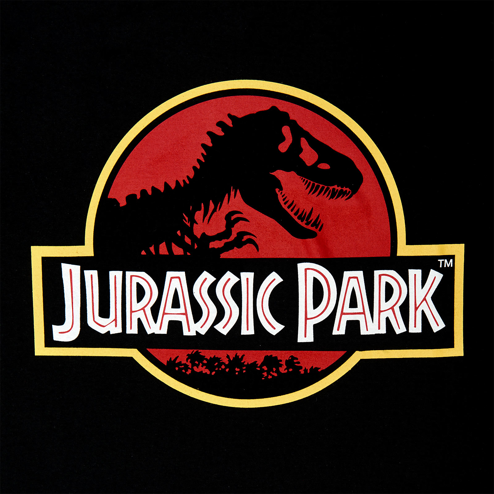 Jurassic Park - Logo T-Shirt schwarz