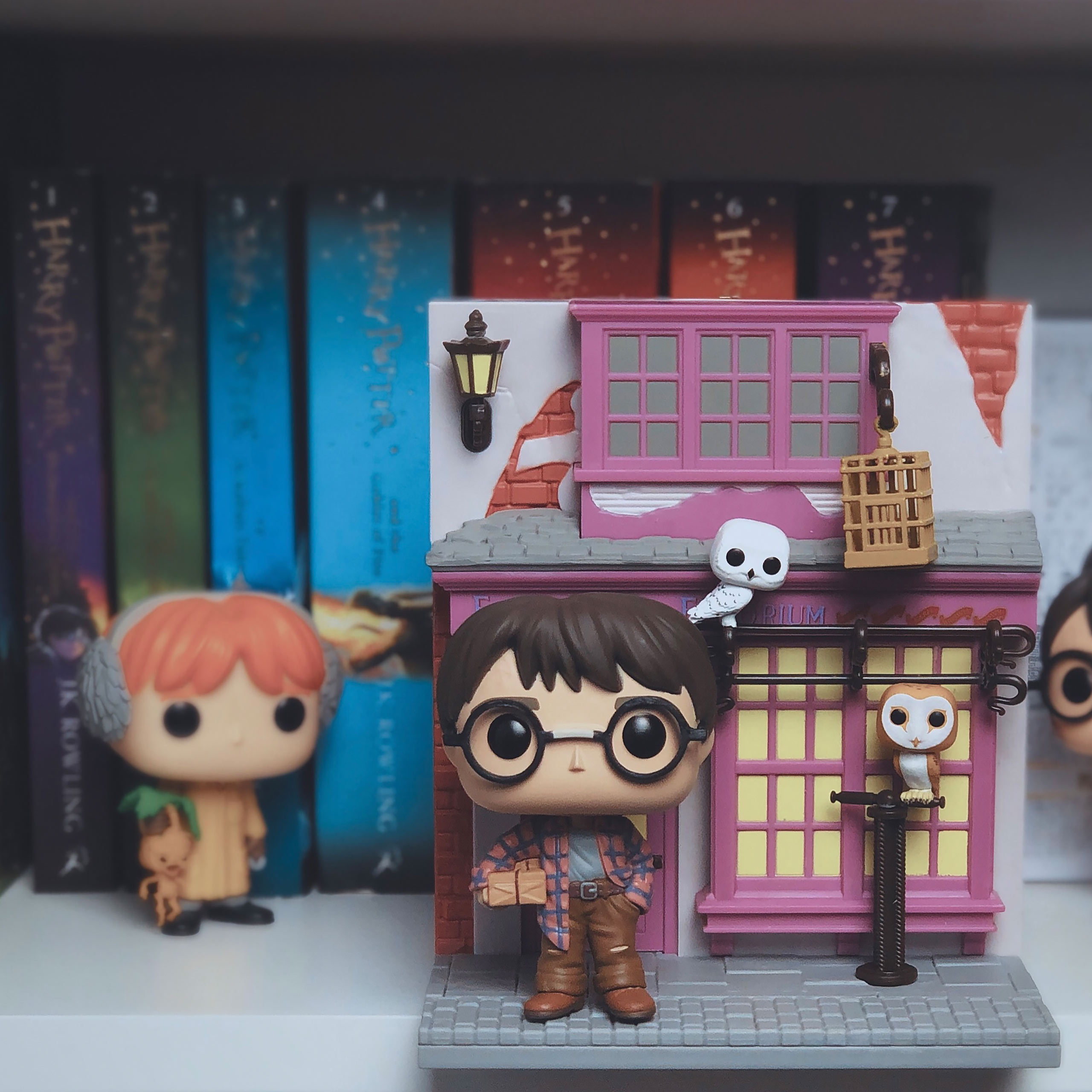 Harry Potter und Eeylops Eulenkaufhaus Funko Pop Figur mit Diorama