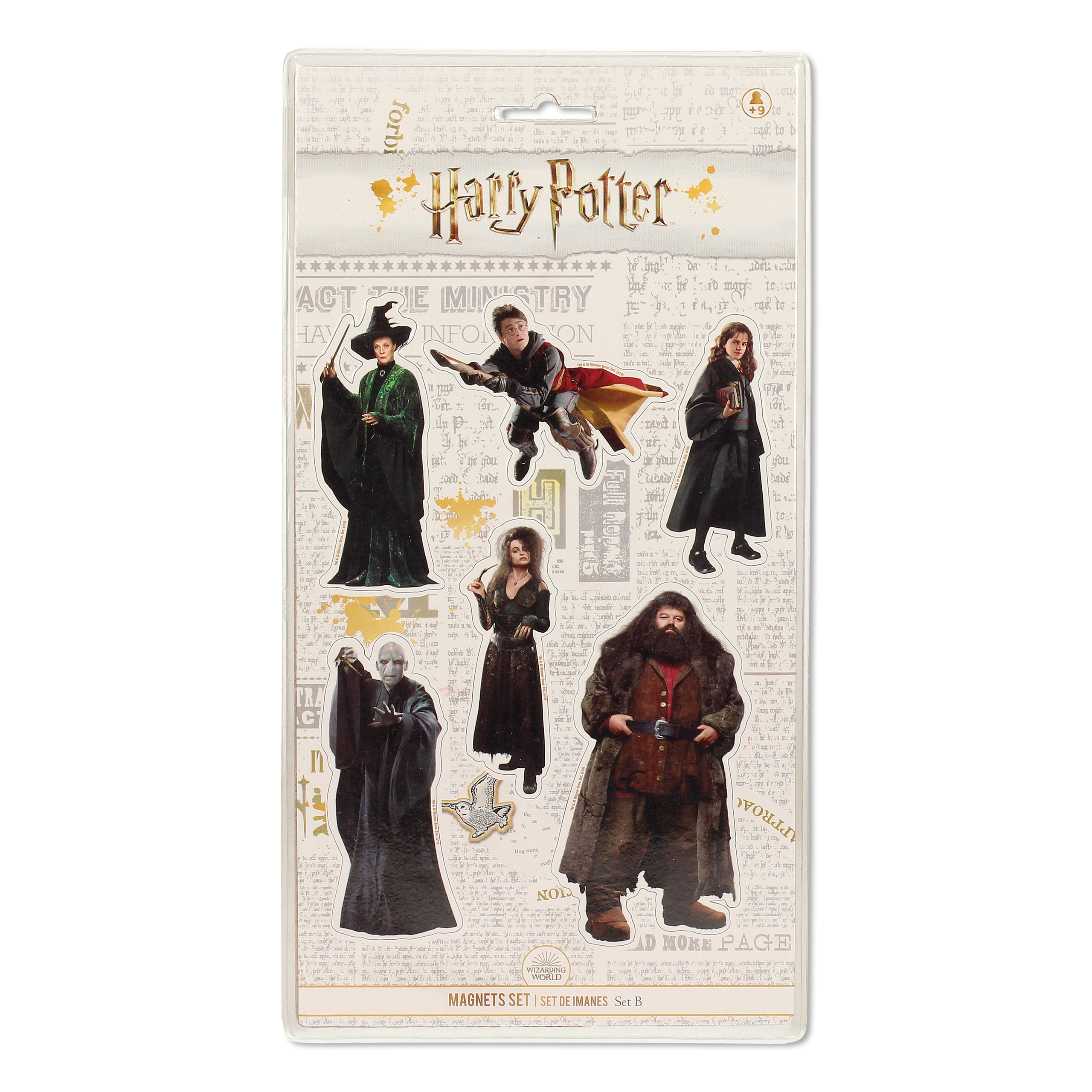 Harry Potter - Characters Magnet-Set 6-teilig