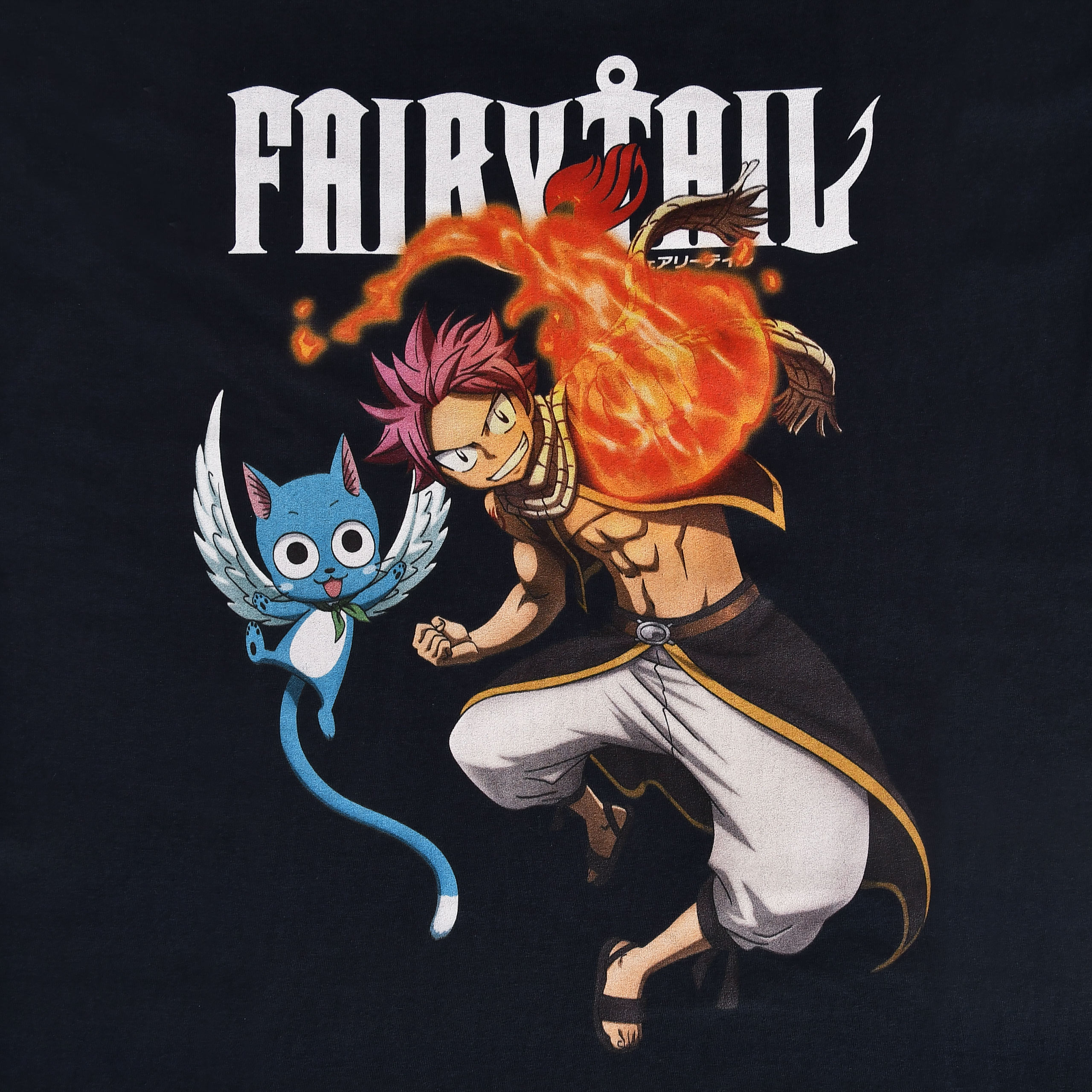 Fairy Tail - Natsu und Happy T-Shirt blau