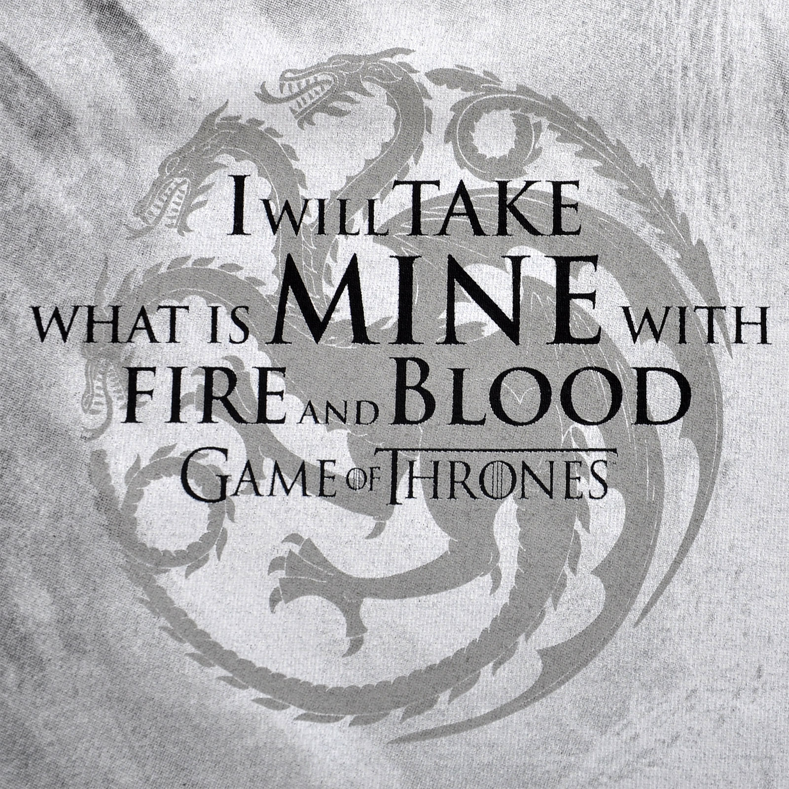 Game of Thrones - Daenerys Fire and Blood T-Shirt