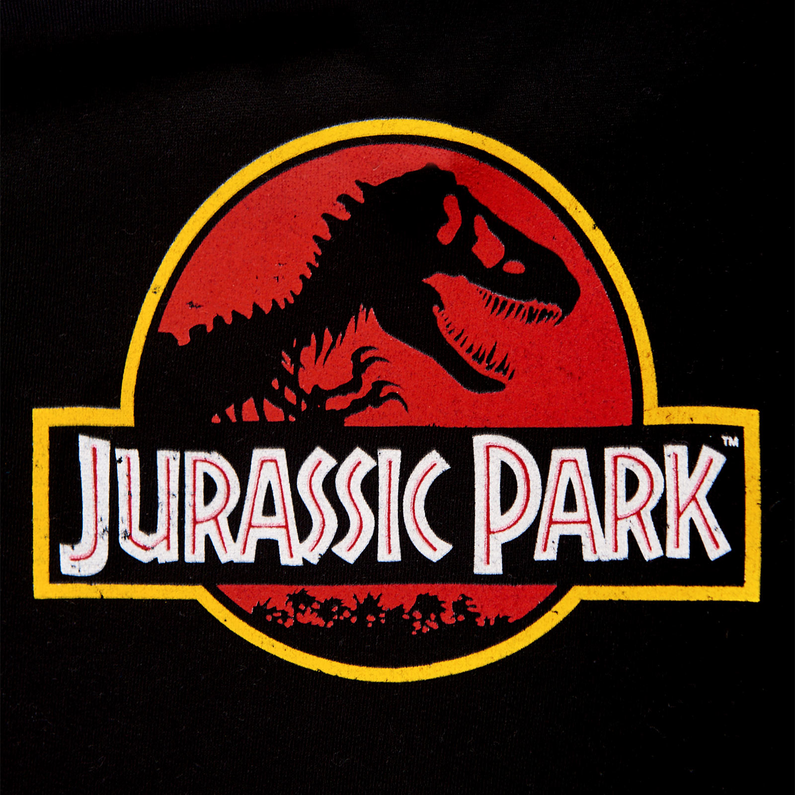 Jurassic Park - Movie Logo Kinder Hoodie schwarz