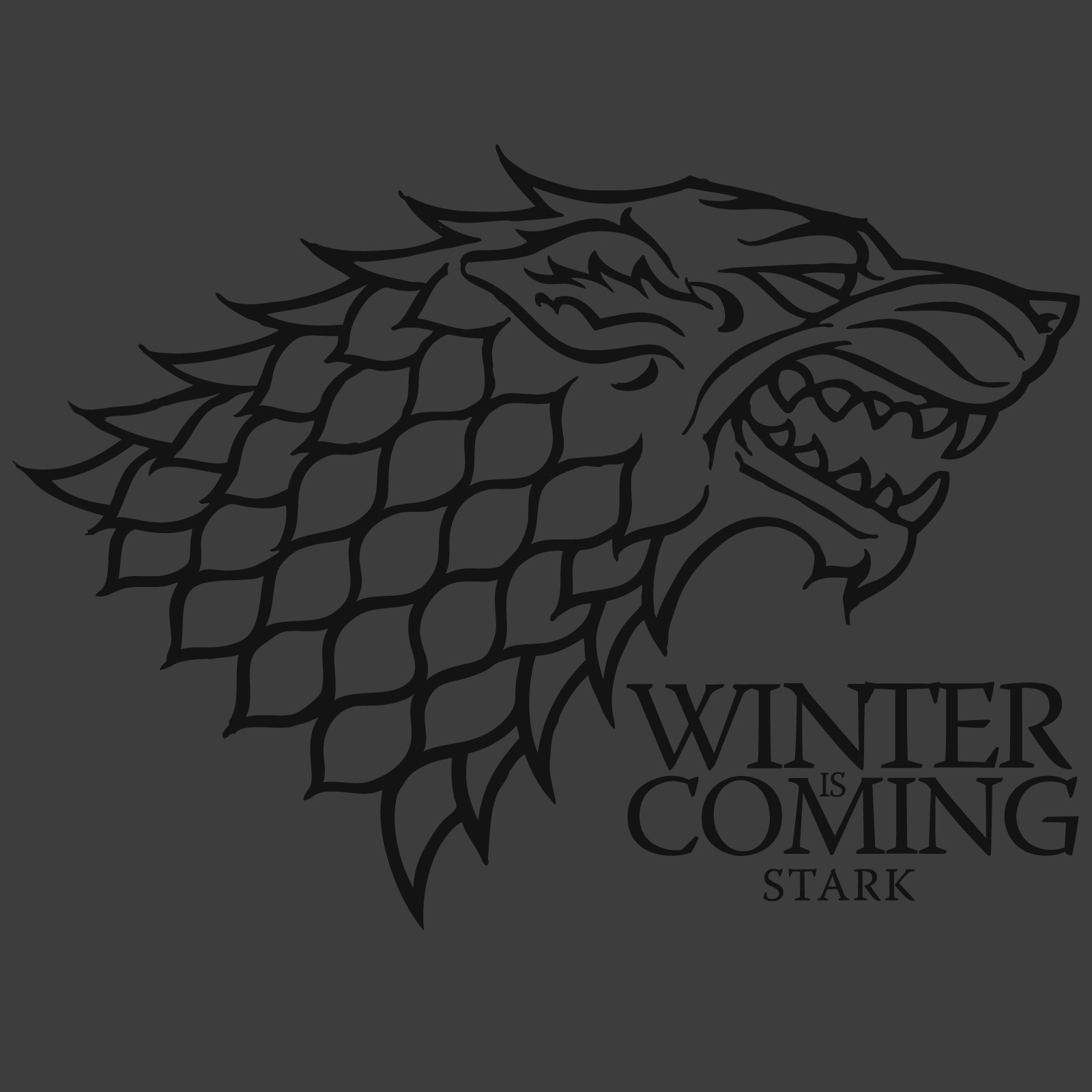 Game of Thrones - Winter is Coming T-Shirt