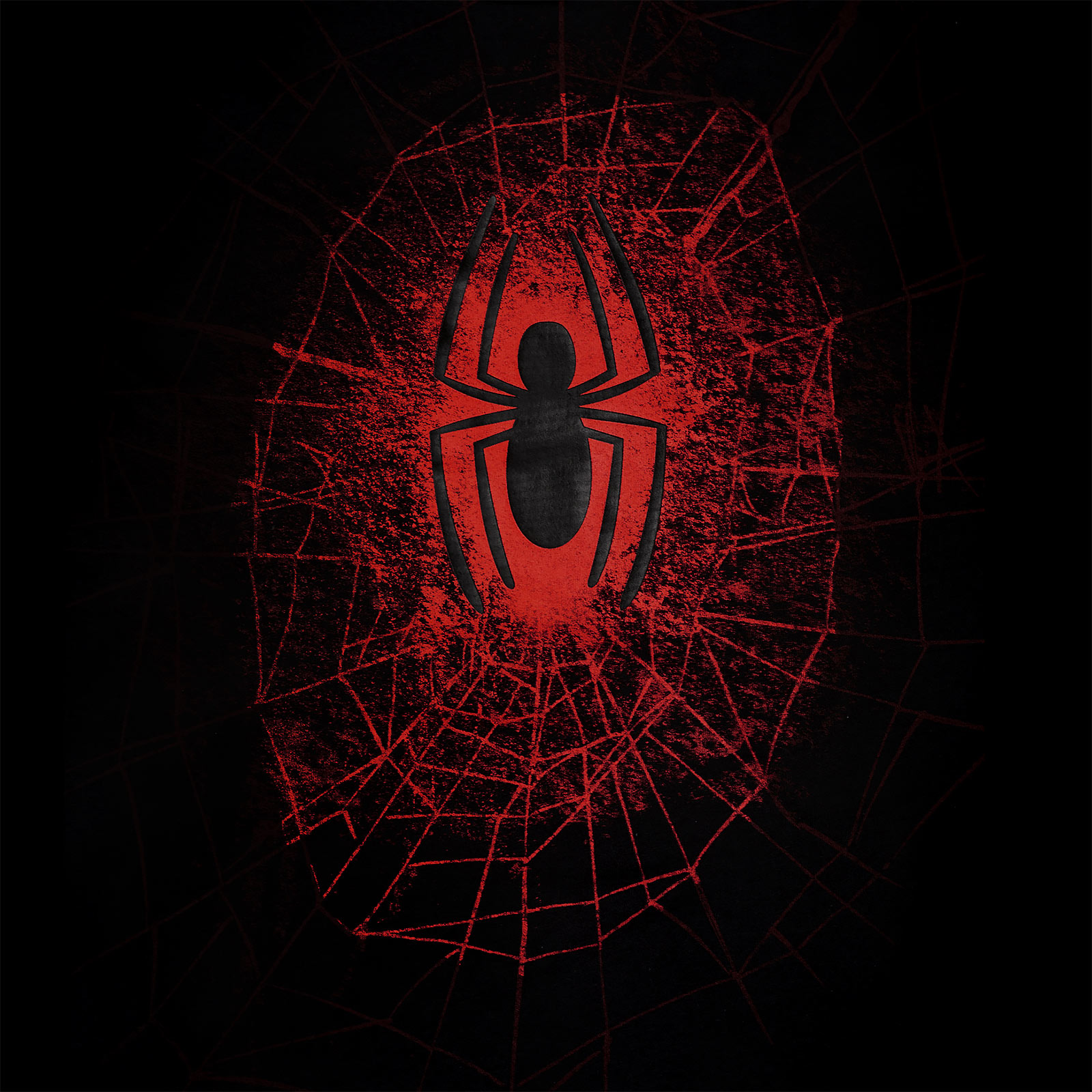Spider-Man - Spider Web T-Shirt schwarz